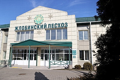 Завершить разработку ветроломов и восстановить лес после июльского урагана. Сроки и объемы обсудили в Жлобине