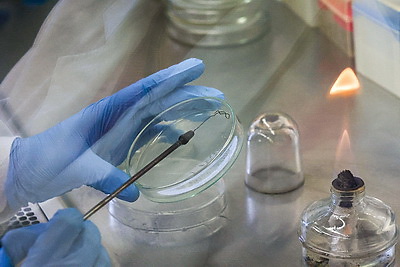 Белорусские ученые создают инновационные препараты для медицины и сельского хозяйства