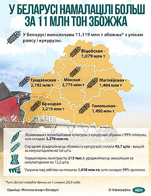 Инфографика. В Беларуси намолотили более 11 млн тонн зерна