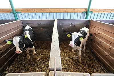 Рейдовая группа проверила предприятия АПК Лиозненского района