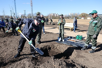 Лукашенко во время субботника высадил деревья в парке Народного единства