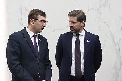 В Минске делегатам ВНС представлен проект программы соцэкономразвития