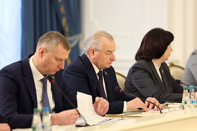 Лукашенко провел заседание Президиума ВНС
