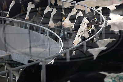 Новый молочно-товарный комплекс открыли в Клецком районе