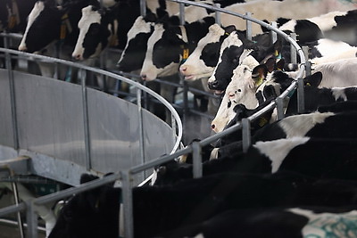 Новый молочно-товарный комплекс открыли в Клецком районе