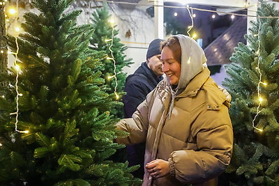 Предновогодние ярмарки работают в Бресте