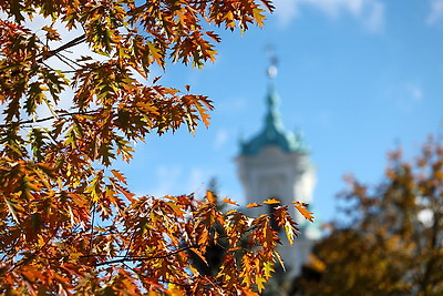 ФОТОХРОНИКА начинает новый информационный день