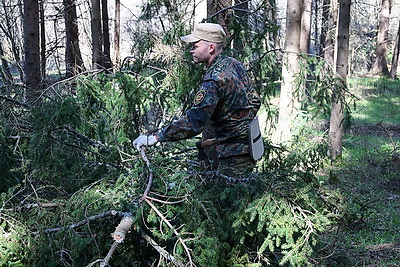 \"Все солдаты имели имена\". Поисковая экспедиция проходит в Могилевском и Чаусском районах