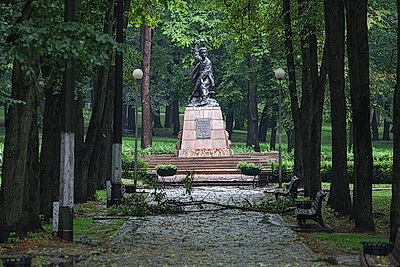 Подтопления и падения деревьев. Последствия непогоды в столице