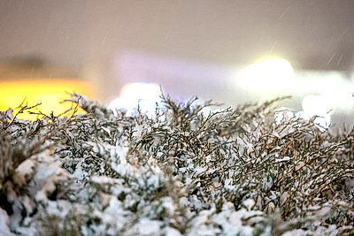 Настоящая зима пришла в Беларусь