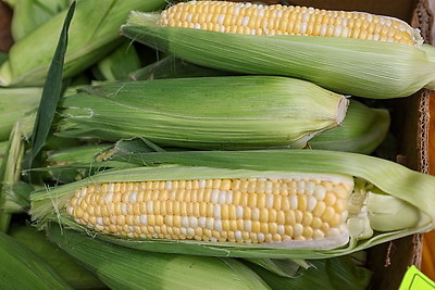 Сельскохозяйственные ярмарки стартовали в Минске