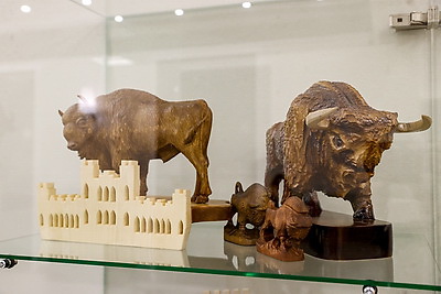 Музей с уникальной коллекцией зубров появился в Бресте