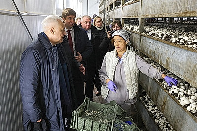 Законопроект по вопросам внешней трудовой миграции должен поступить на рассмотрение депутатов в 2026 году