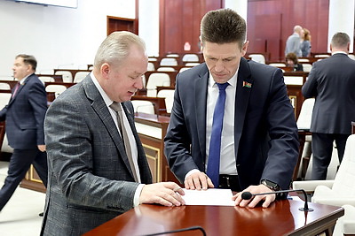 Развитие электроэнергетики и газификации населенных пунктов обсуждают в Палате представителей
