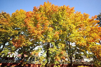 ФОТОХРОНИКА начинает новый информационный день