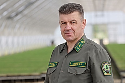 От семечка до зеленого богатства страны. Кто выращивает саженцы для будущих лесов Беларуси