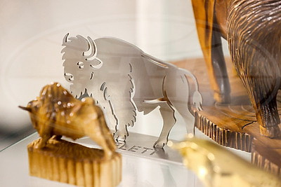 Музей с уникальной коллекцией зубров появился в Бресте