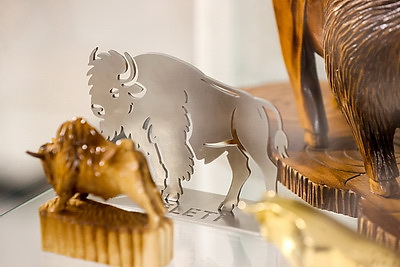 Музей с уникальной коллекцией зубров появился в Бресте