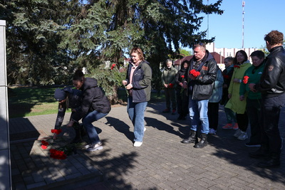 \"Лес! Дабро! Парадак!\": коллектив БЕЛТА помог обновить лес в Столбцовском районе