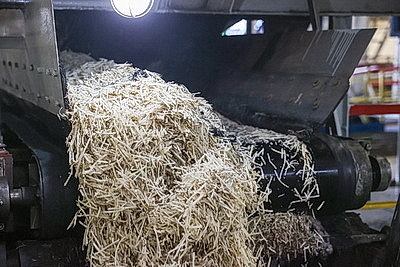 Жабинковский сахарный завод планирует получить около 150 тыс. тонн сахара из свеклы нового урожая