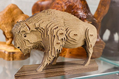 Музей с уникальной коллекцией зубров появился в Бресте