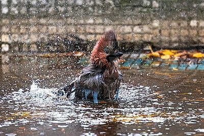 ФОТОХРОНИКА начинает новый информационный день ФОТОХРОНИКА начинает новый информационный день