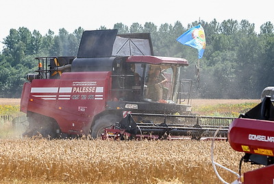 Аграрии Витебского района приступили к массовой уборке зерновых