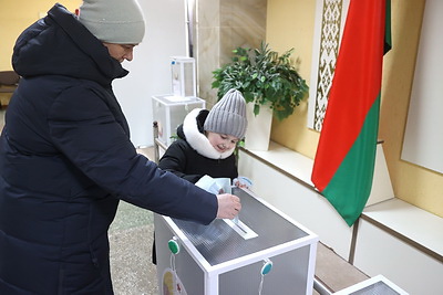 Выборы-2025: голосование в Могилевской области