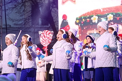 Огни зажгли на главной елке Бреста