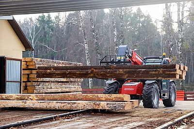 Производства по выпуску поддонов намерены наладить в Дрогичинском и Лунинецком лесхозах