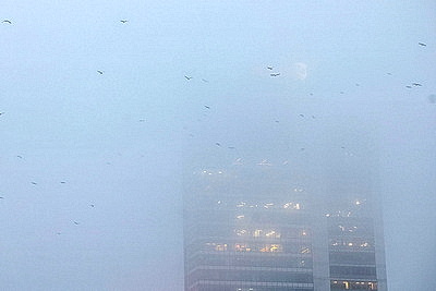 ФОТОХРОНИКА начинает новый информационный день