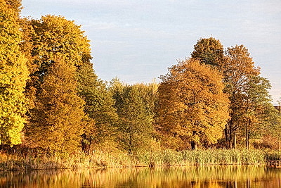 ФОТОХРОНИКА начинает новый информационный день