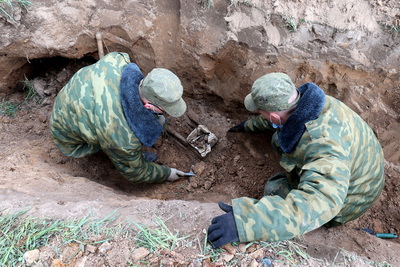 Останки более 20 бойцов Красной армии обнаружены в Витебском районе