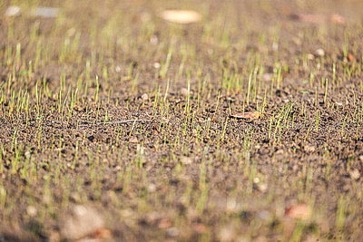 Ход работ по благоустройству объектов проинспектировали в Бресте