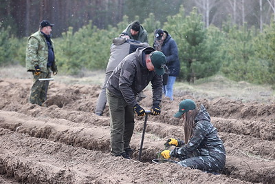 Руководство Гродненского облисполкома присоединилось к акции \"Дай лесу новае жыццё\"
