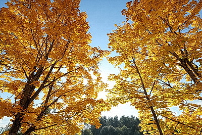 ФОТОХРОНИКА начинает новый информационный день