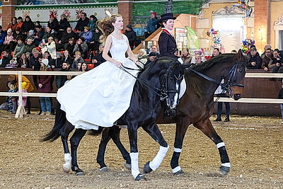 В Могилевском районе прошла международная выставка-шоу породистых лошадей \"Осень-2025\"