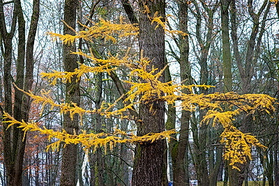 ФОТОХРОНИКА начинает новый информационный день