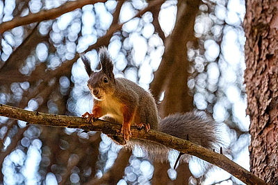 ФОТОХРОНИКА начинает новый информационный день