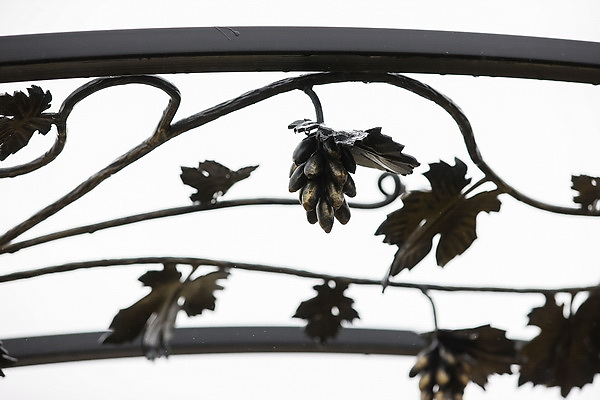 Возродил старинное ремесло. Белорус открыл семейную кузницу