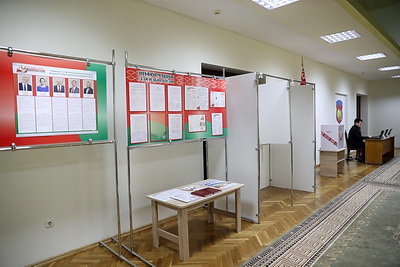 \"Нет никаких нареканий\". Наблюдатель от СНГ об избирательной кампании в Беларуси