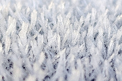 ФОТОХРОНИКА начинает новый информационный день