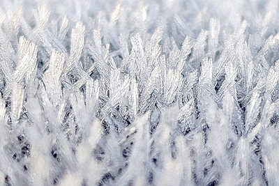 ФОТОХРОНИКА начинает новый информационный день