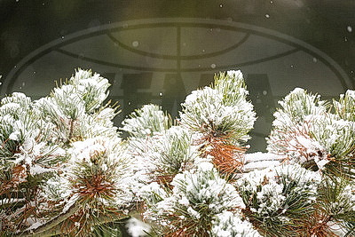 ФОТОХРОНИКА начинает новый информационный день