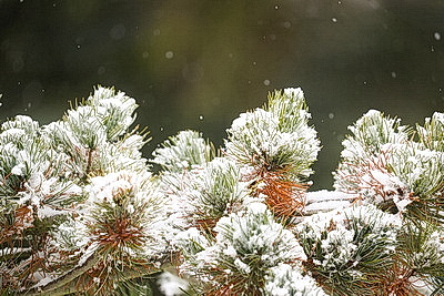 ФОТОХРОНИКА начинает новый информационный день