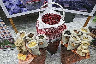 Совет Республики одобрил законопроект о бюджете фонда соцзащиты населения на 2026 год