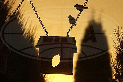 ФОТОХРОНИКА начинает новый информационный день