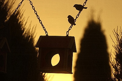 ФОТОХРОНИКА начинает новый информационный день