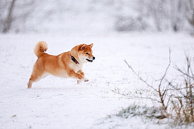 ФОТОХРОНИКА начинает новый информационный день