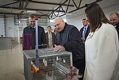 Лукашенко ознакомился с развитием в Беларуси птицеводческой отрасли